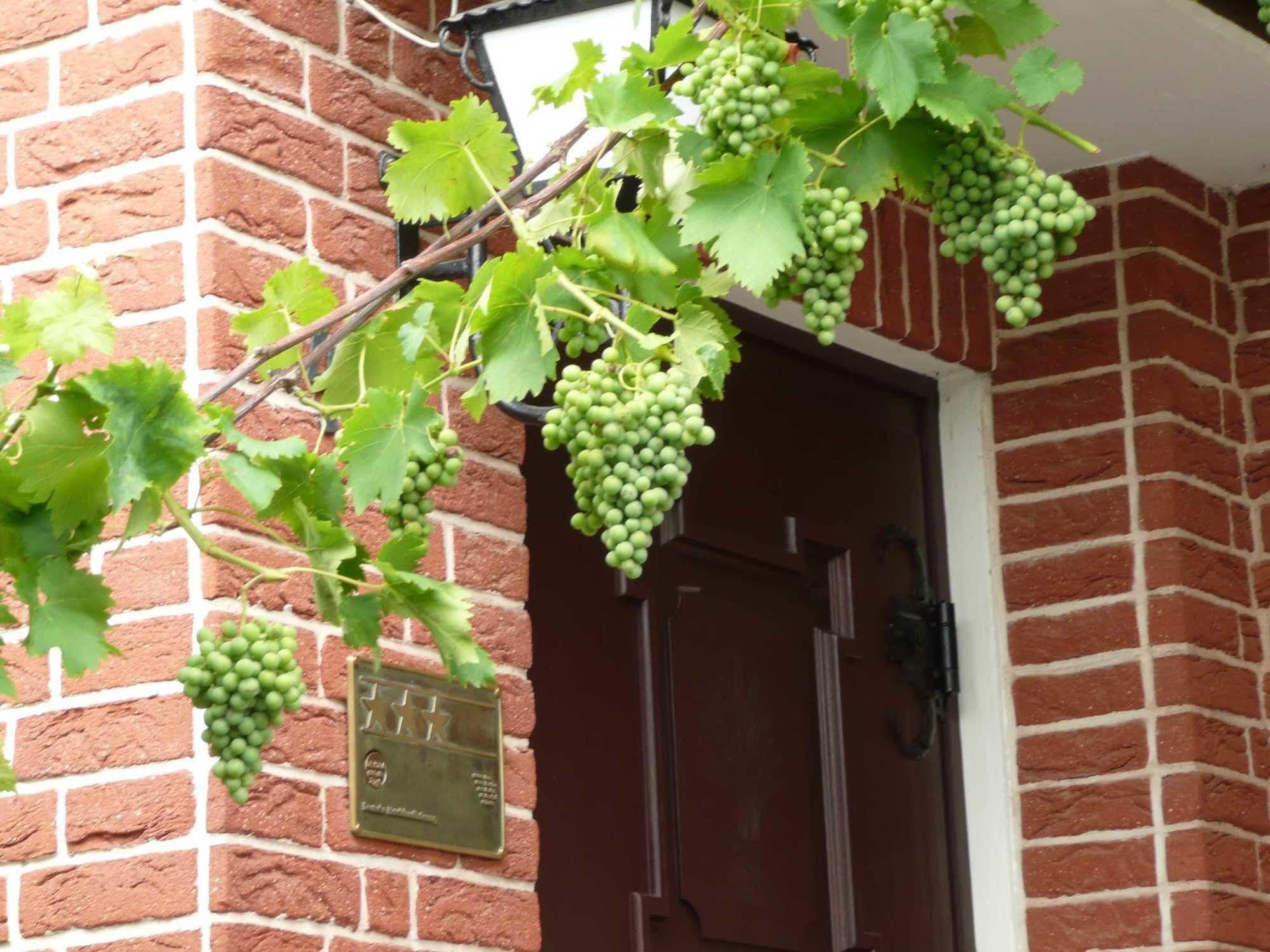 Landgasthaus Bonn バウナタール エクステリア 写真